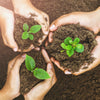 Sustainability
