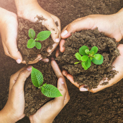 Sustainability